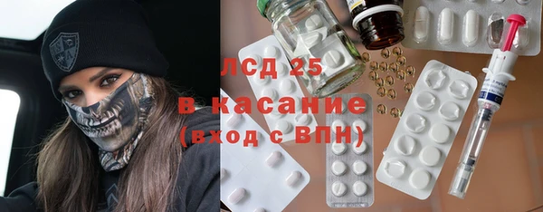 индика Баксан