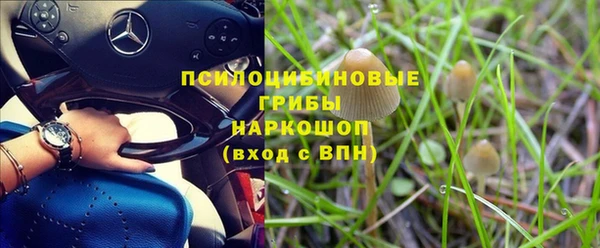 эйфоретик Арсеньев