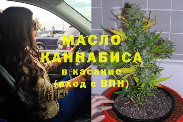 индика Баксан