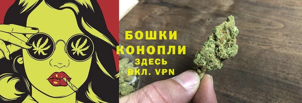 эйфоретик Арсеньев